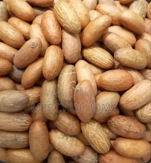 We Have Fresh Biggest Bitter Kola Seed. We Sell in Bags by 50kg