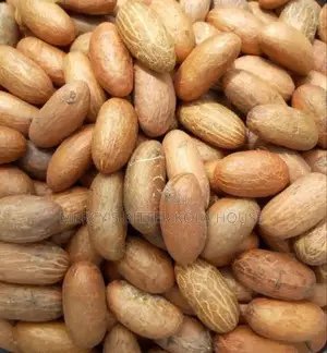 We Have Fresh Bitter Kola Seed. We Sell in Bags by 50kg