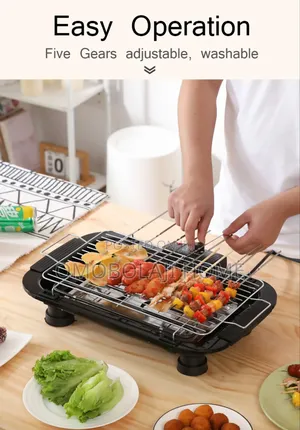 2000w Electric Barbecue Griller