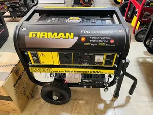 Fpg3800e2 Firman Remote Start Generator 100% Copper