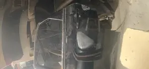 Back Door Rx350 2015