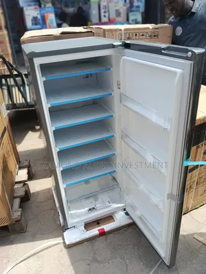 Lg Fridge 300l