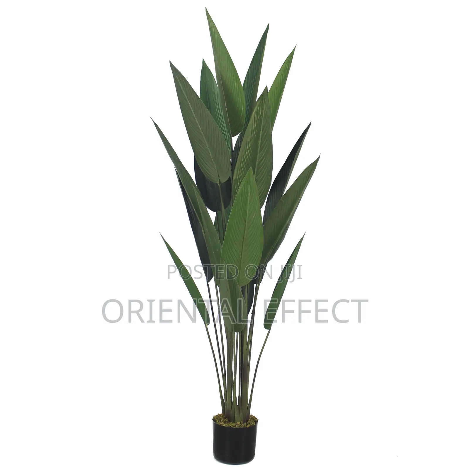 Artificial Traveller Palm 160cm