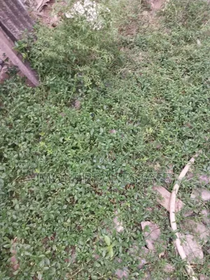 Full Plot Ijegun New Rd 10% Initial Instalmental Payment
