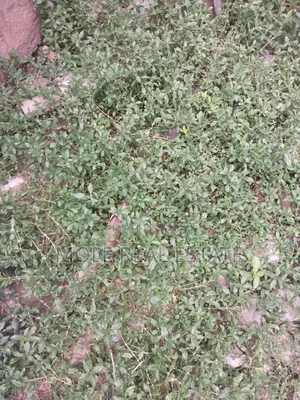 25f/50ft Ijegun New Rd 10% Initial Payment Instalmental