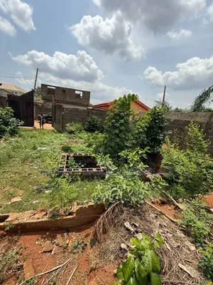 Dry Land Measuring 40 by 120ft in an Estate