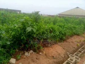 Photo - A Residential Plot of Land for Sale at Idigbaro