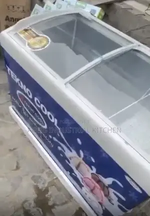 Ice Cream Chest and Deep Freezer