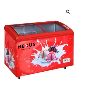 Ice Cream Chest and Deep Freezer