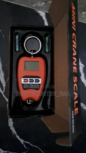 Mini Crane Hanging Scale