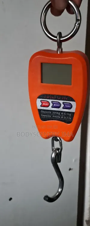 Mini Crane Hanging Scale
