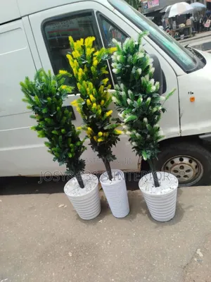 Garden Flower