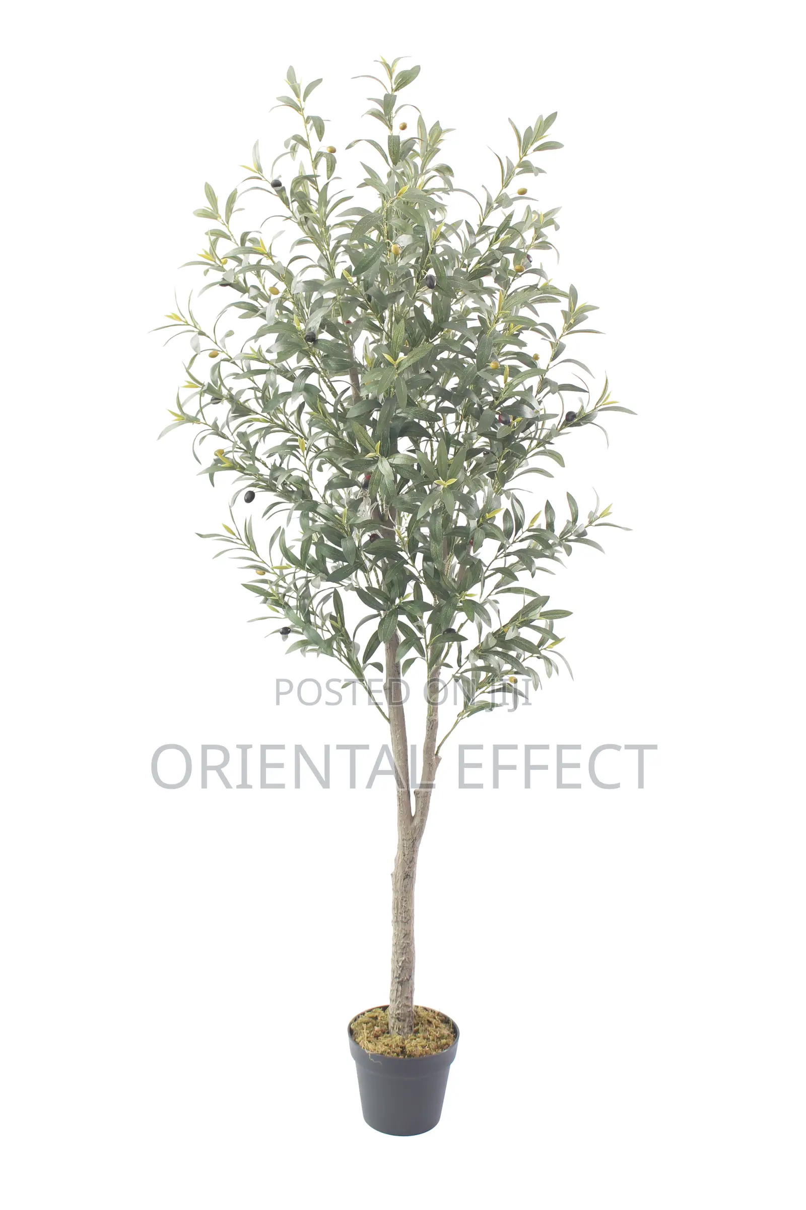 Artificial Olive Tree – 180cm