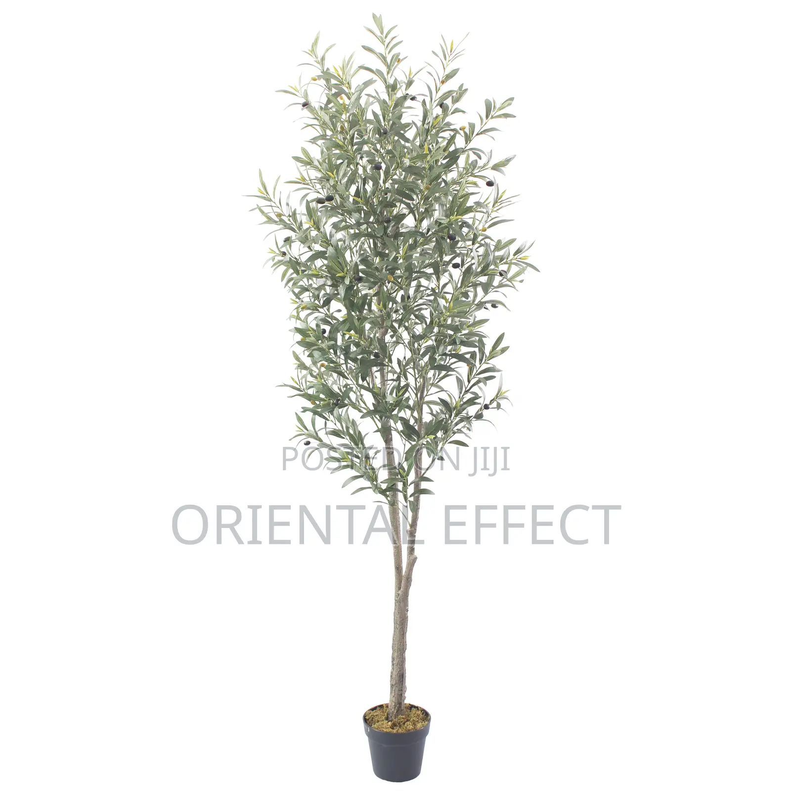 Artificial Olive Tree – 210cm