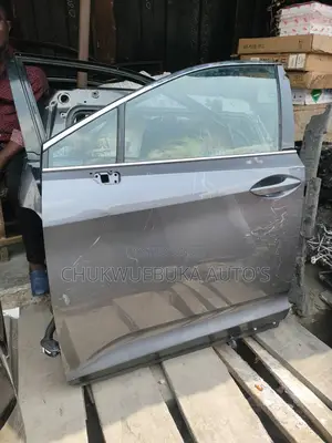 Front Door Rx350 2017