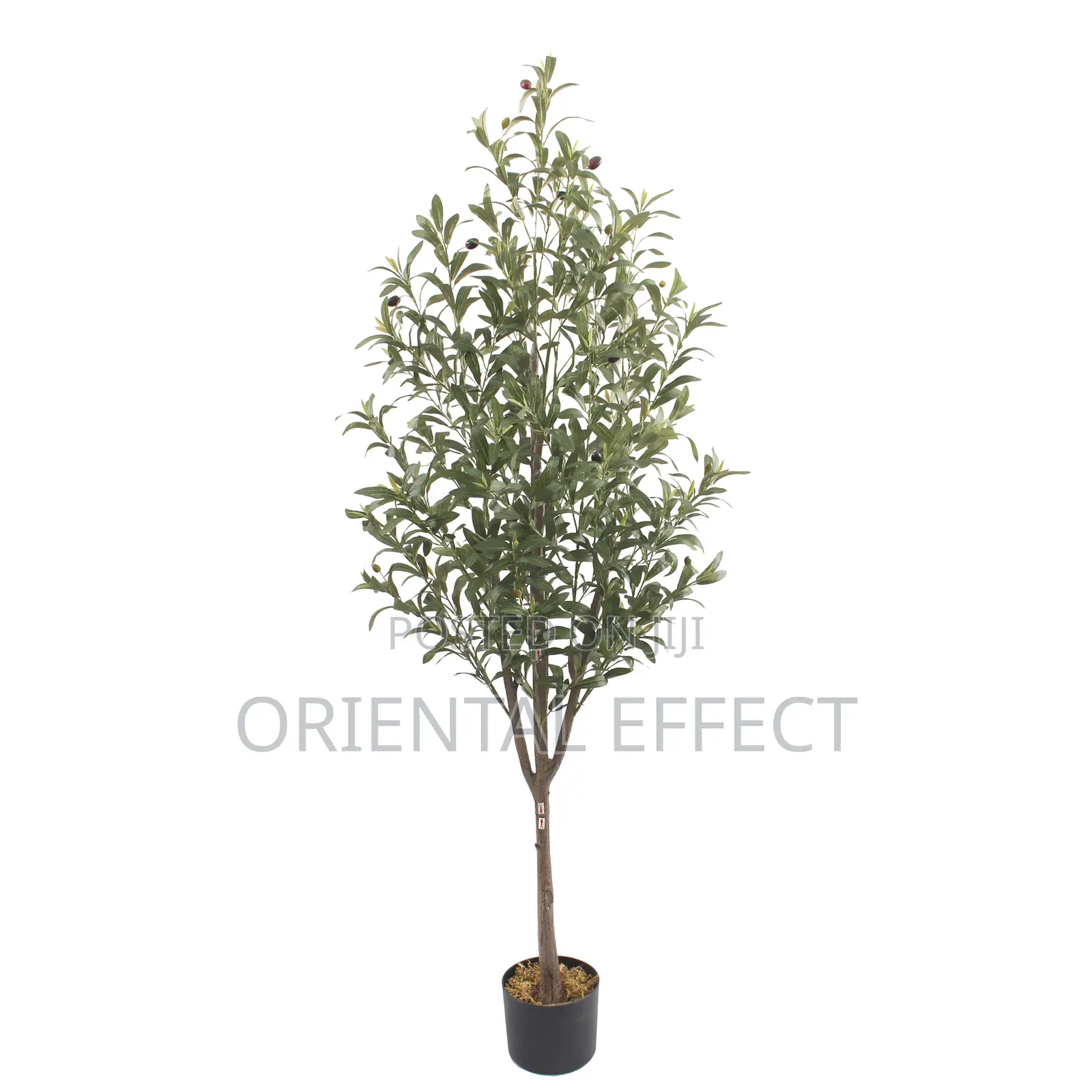 Artificial Olive Tree – 160cm
