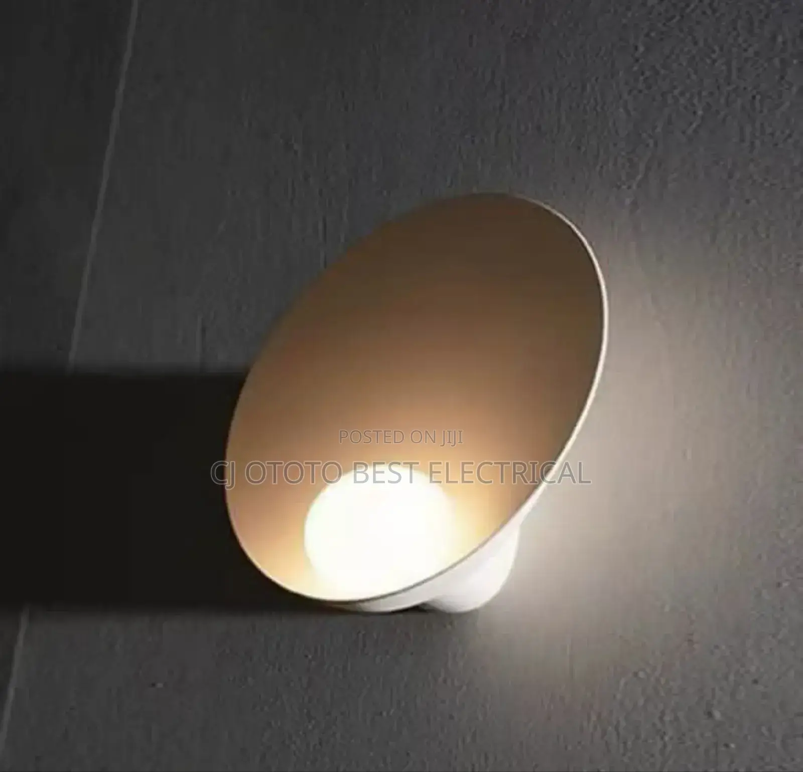 Luxury Led Wall Light