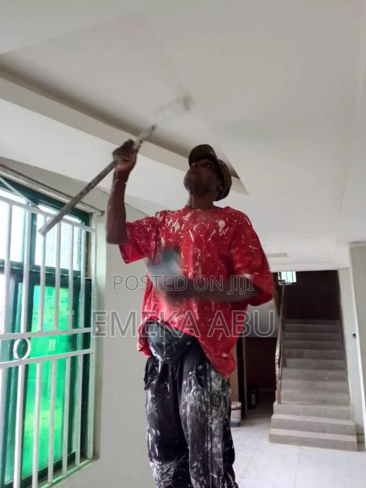 Professional Painter