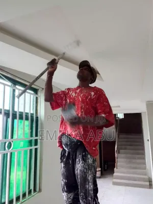 Professional Painter