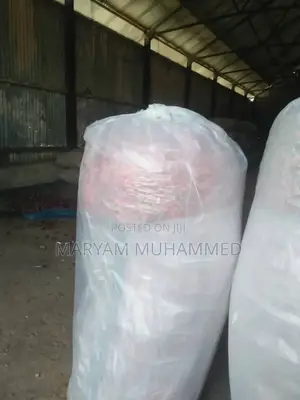 Photo - Affordable Chili Peppers at Wholesale Price