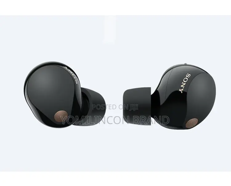 Sony Earbuds Wf 1000xm5