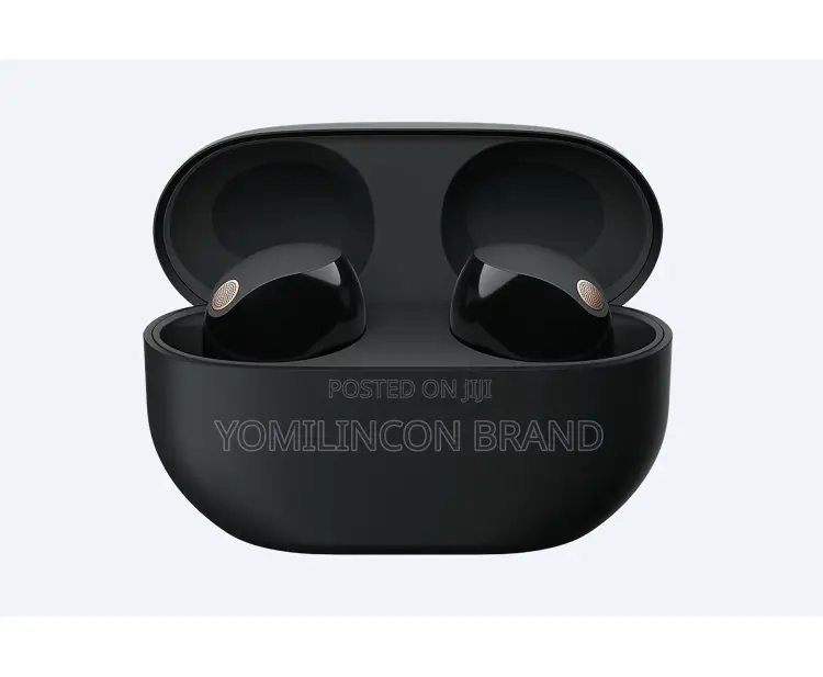 Sony Earbuds Wf 1000xm5