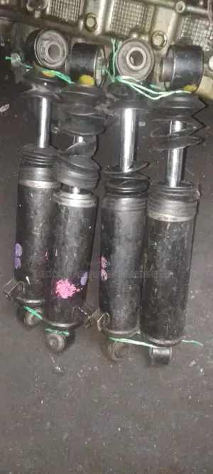 Hyundai Santa Fe Back Shock Absorber 2010
