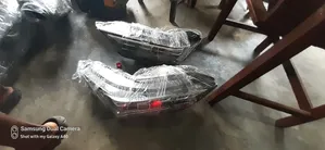 Head Light Acura MDX 2024