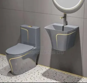 Luxury Top Flush Wc