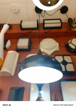Single Black Drop Light