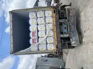 HTH Chlorine China
