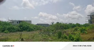 Landed Property