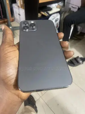 Apple iPhone 12 Pro Max 256 GB Gray