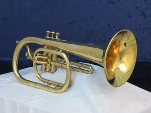 Photo - The Professional Flugel Horn