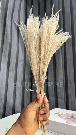 Imported Pampas Flower In Designs