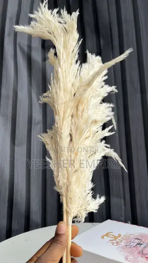 Imported Pampas Flower In Designs