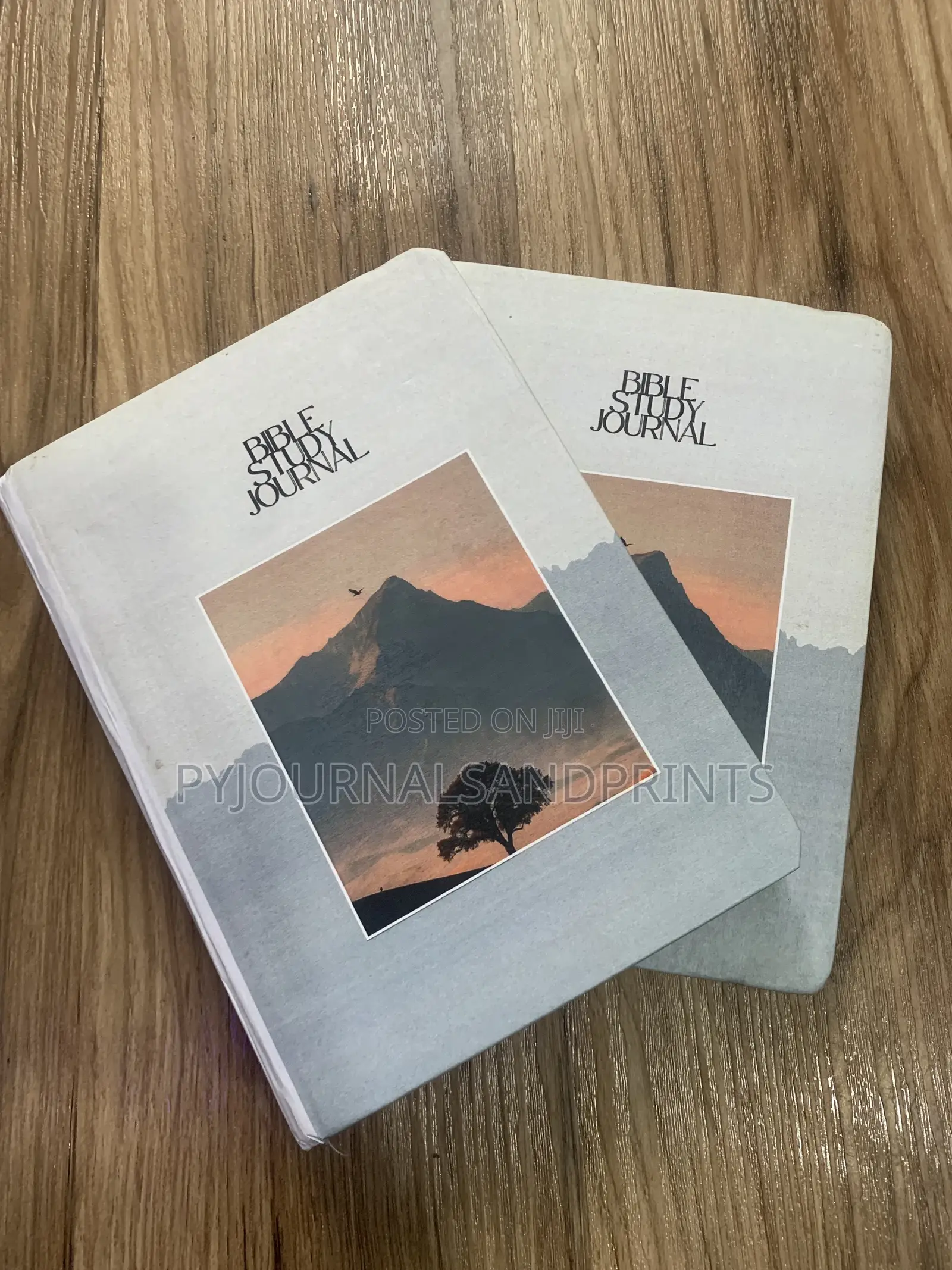 Bible Study Journal 365 Pages