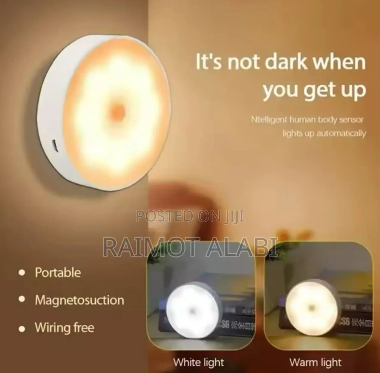 Sensor Induction Motion Light