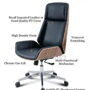 Multi-Functional Executive Office Chair