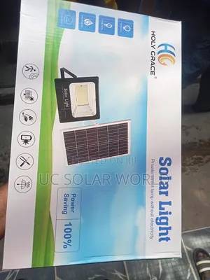 Holy Grace Solar Flood Light