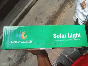 Holy Grace Solar Flood Light