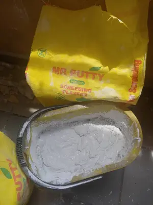 Diy Made Easy With Mr. Putty Screeding Plaster