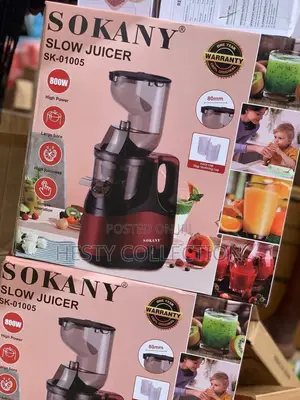 Sokany Heavy Duty Slow Juicer