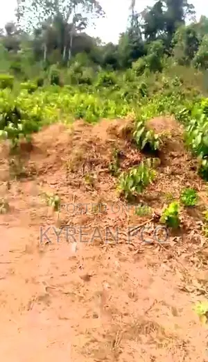 Acres and Plots of Land Available