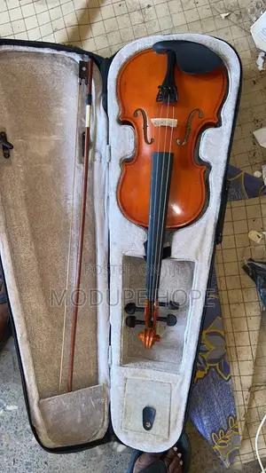 Photo - Violin With Case