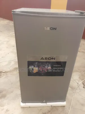 Perfect Storage With the Aeon Ars100g Refrigerator