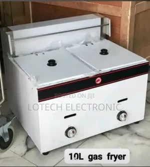 Photo - Industrial Double Deep Fryer 10lit +10lit