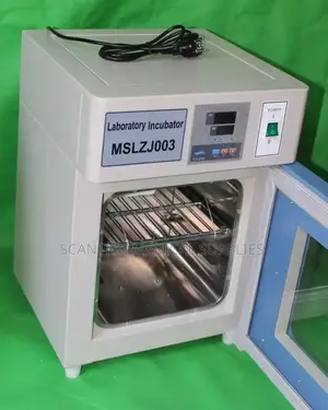 Medical Intelligent Blast Drying Oven