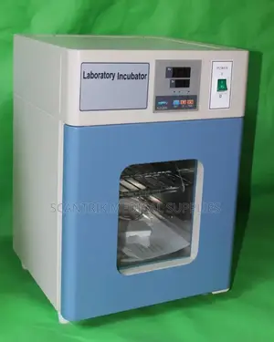 Digital Laboratory Microbiology Incubator