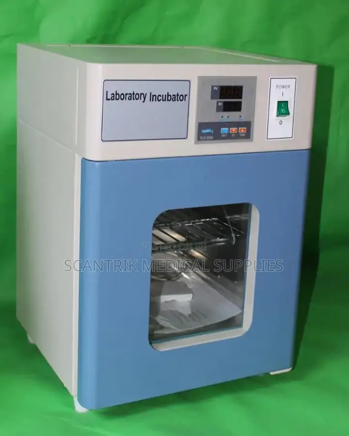 Digital Laboratory Microbiology Incubator
